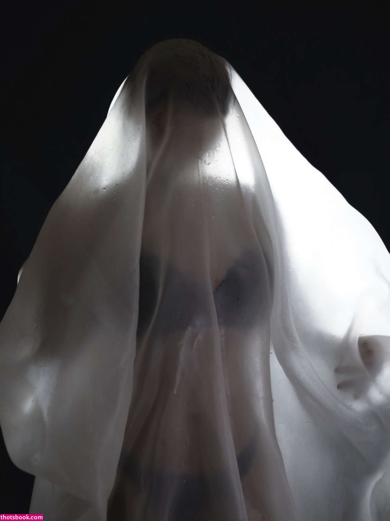 Fa Shadows Photo #21