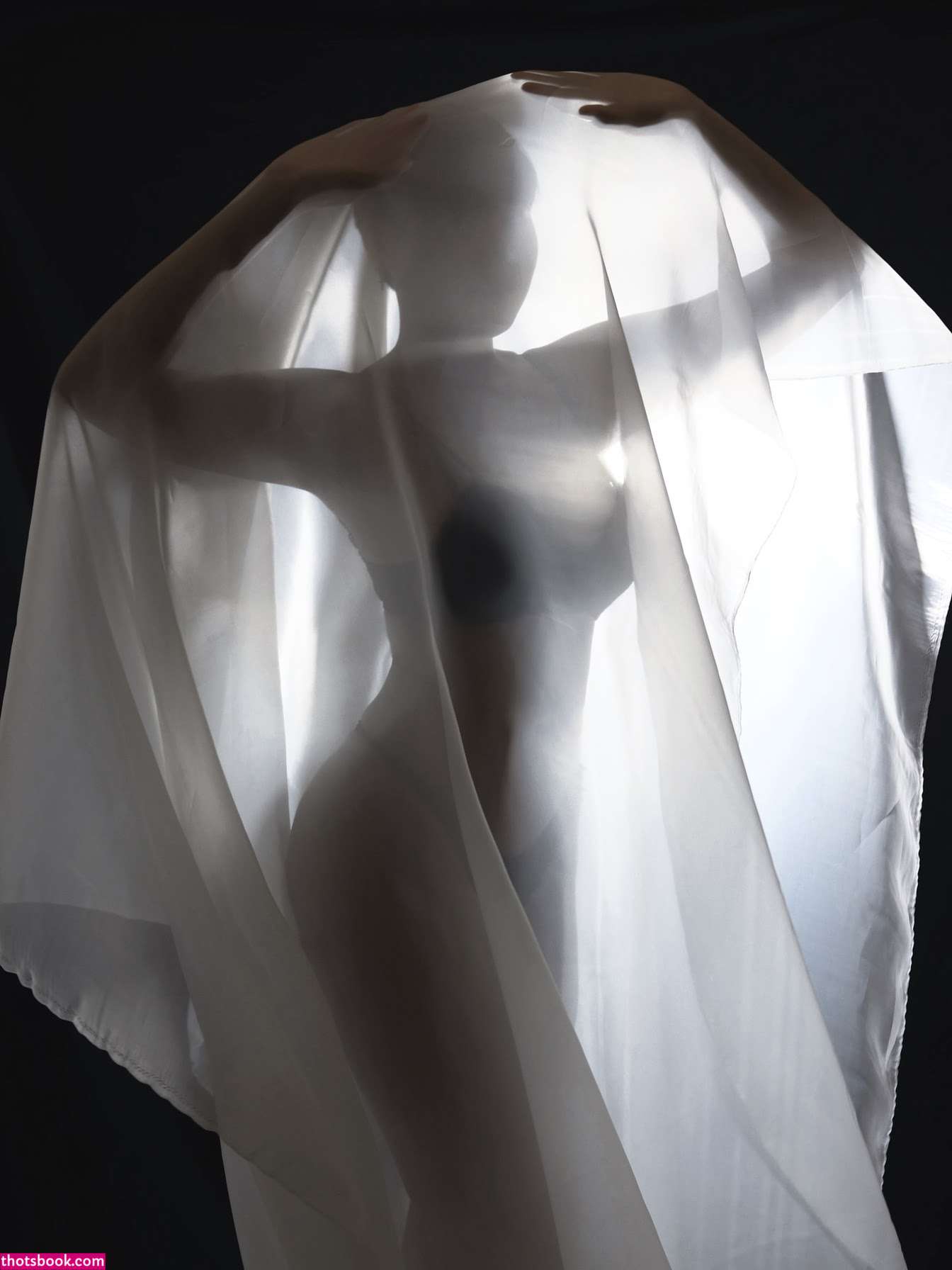 Fa Shadows Photo #23