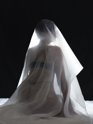 Fa Shadows Photo #22