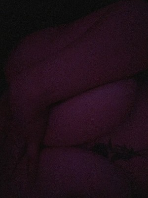 Mrclitbull Photo #53