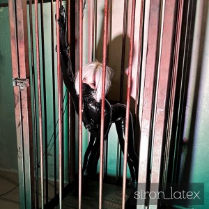 Siron Latex Photo #15