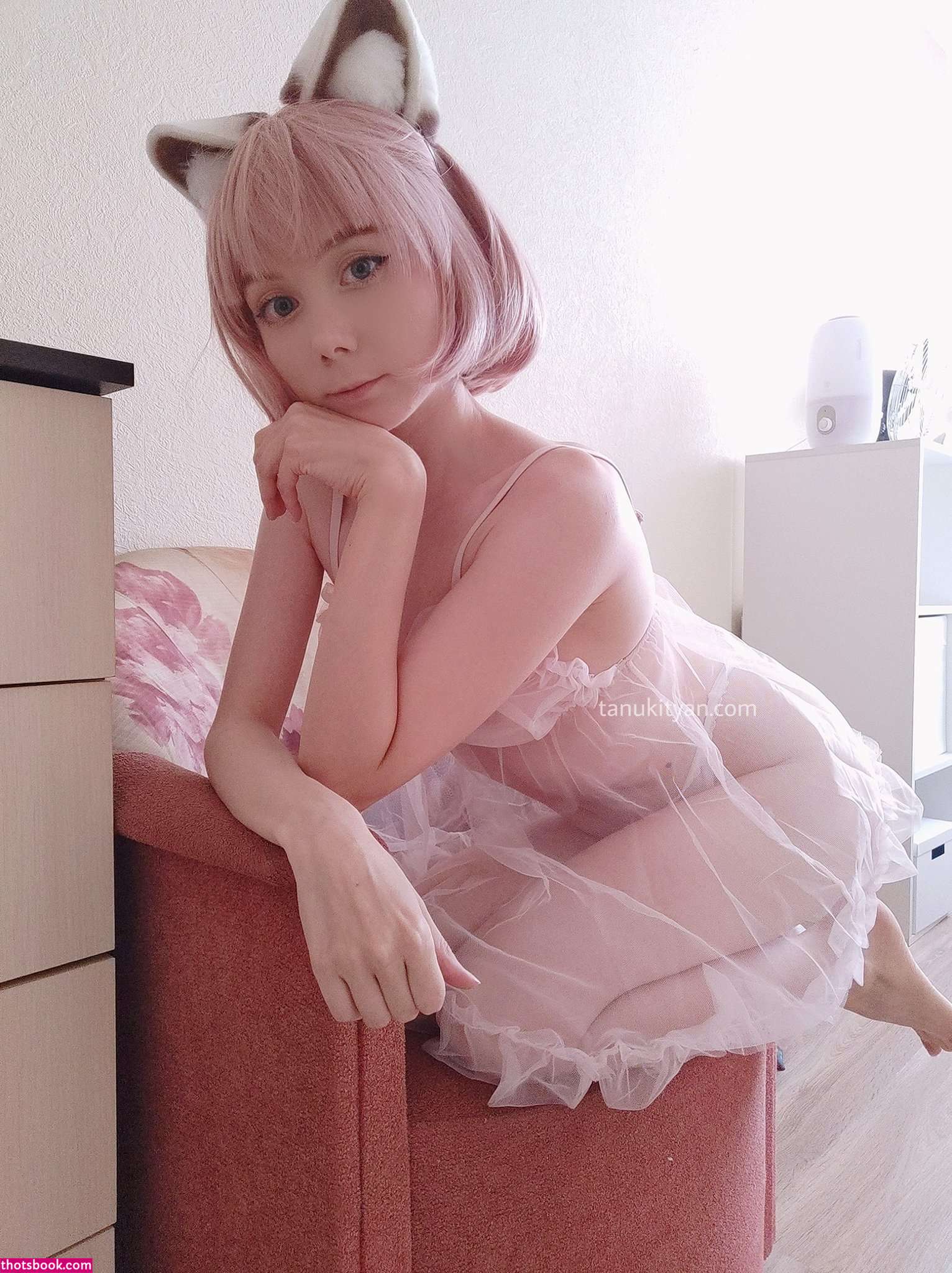 Tanuki Tyan Photo #2