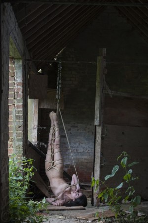 kittenqueenpurs Photo #2