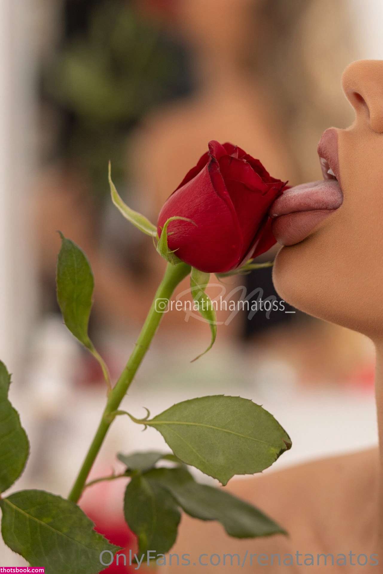 Renata Matos Photo #123