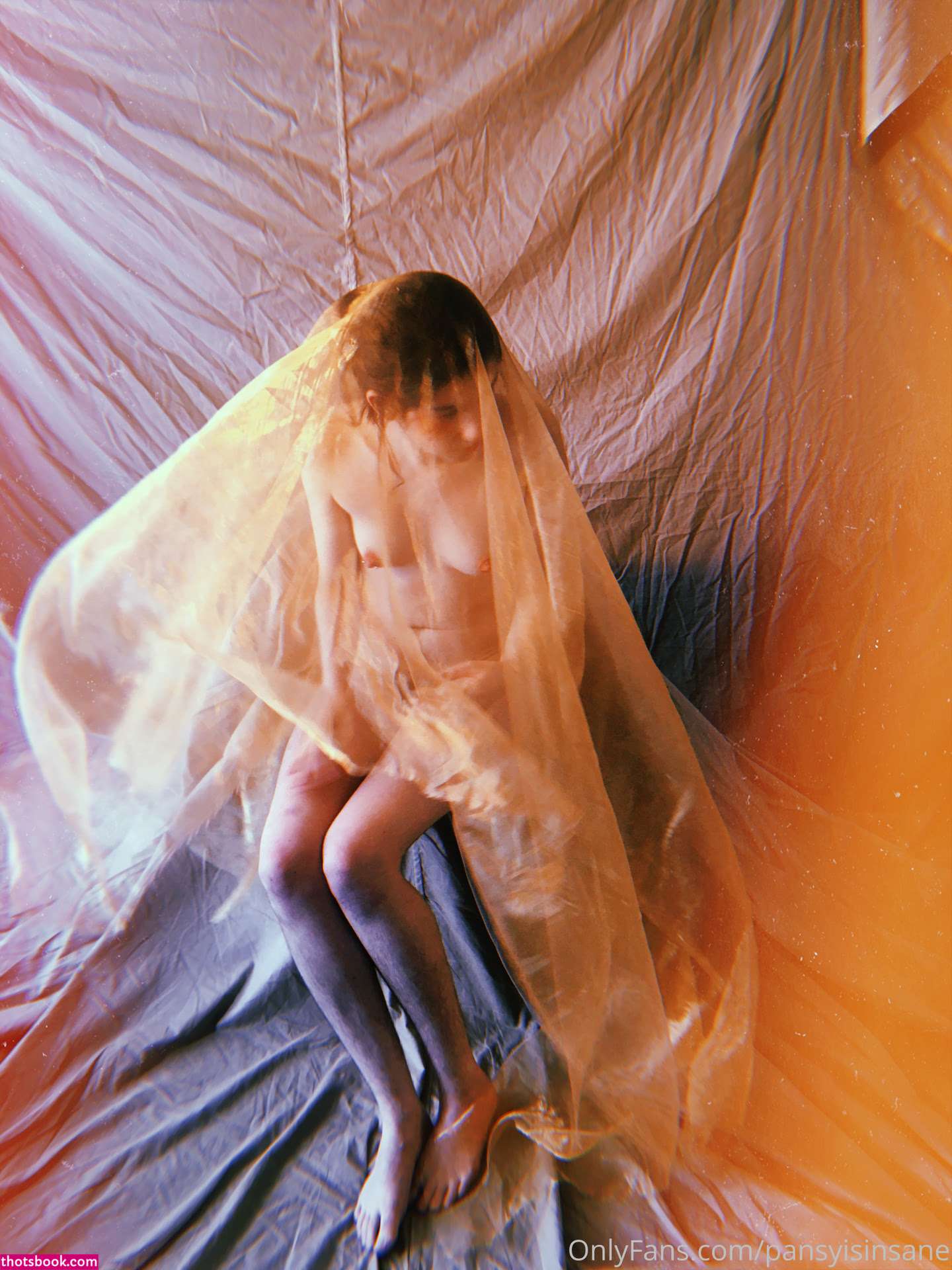 Camille Alexander Photo #181