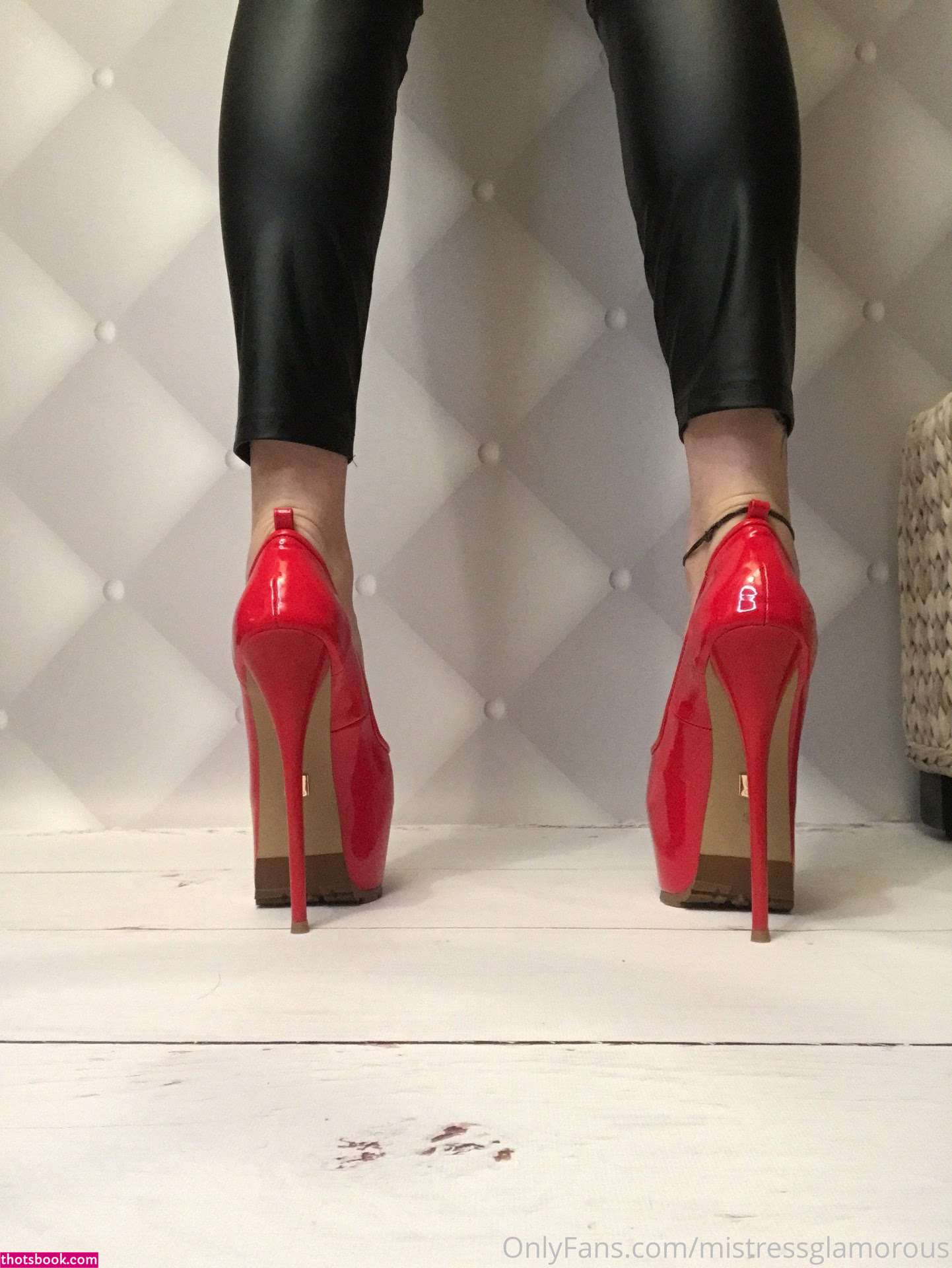 Misstress Glamorous Photo #7