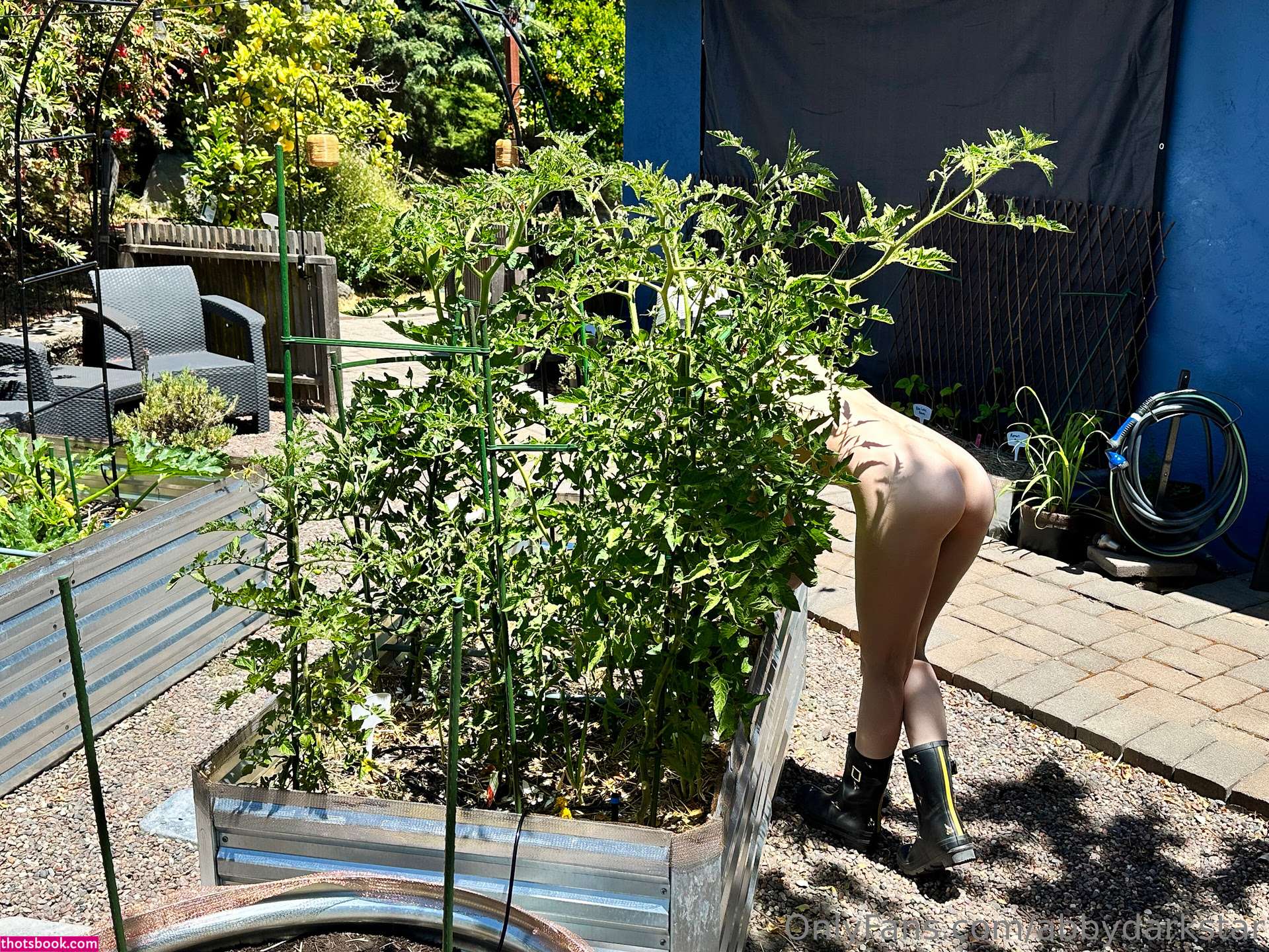 Abby Darkstar Photo #211