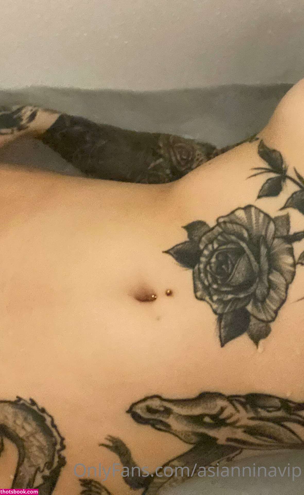 Asianninavip Photo #57