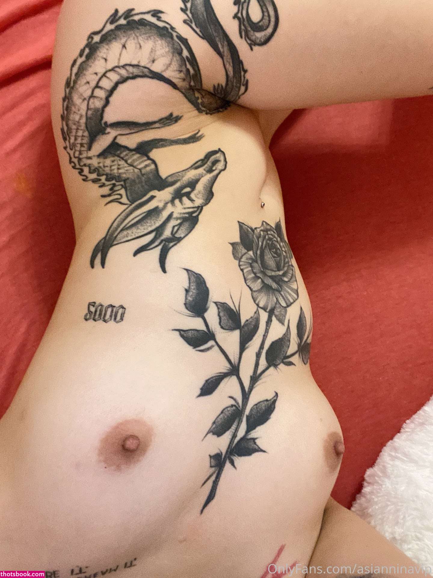 Asianninavip Photo #81