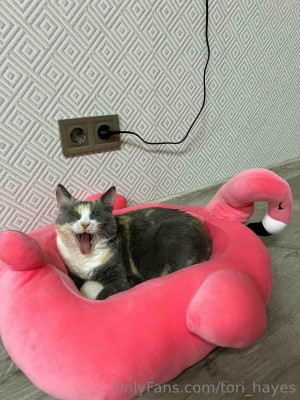 Tori Hayes Photo #168