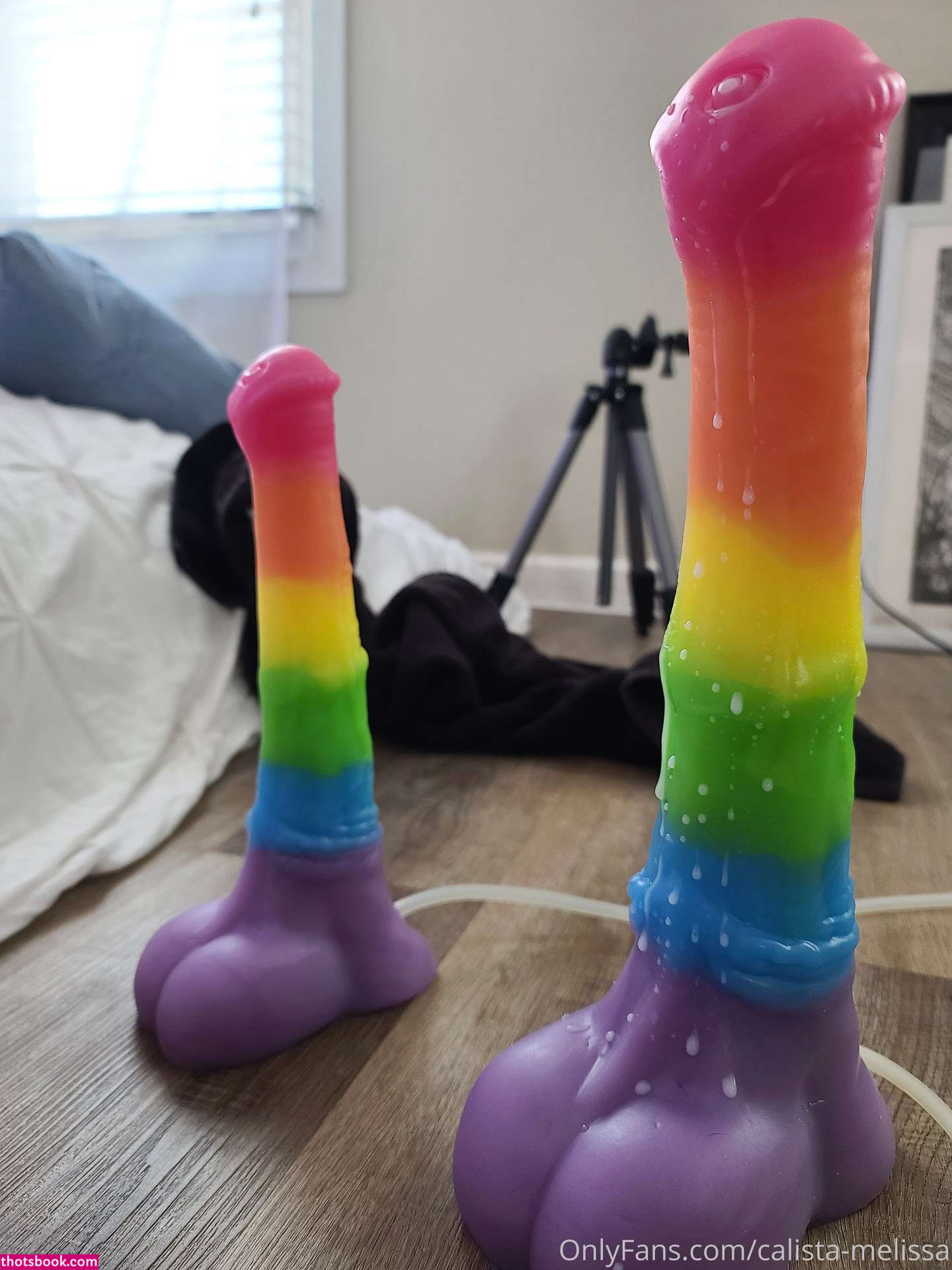 Calista Melissa Photo #177