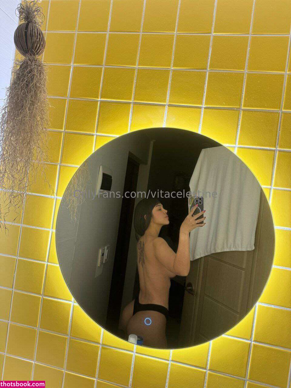 Vitacelestine Photo #308