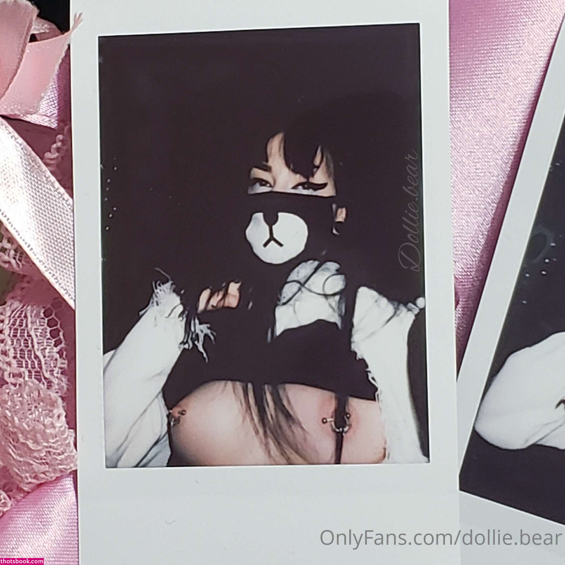 Dollie Bear Photo #171