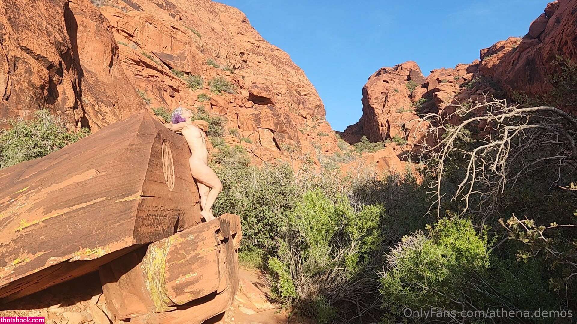 Athena Demos Photo #146