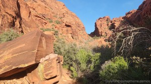 Athena Demos Photo #143