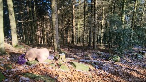 Athena Demos Photo #288