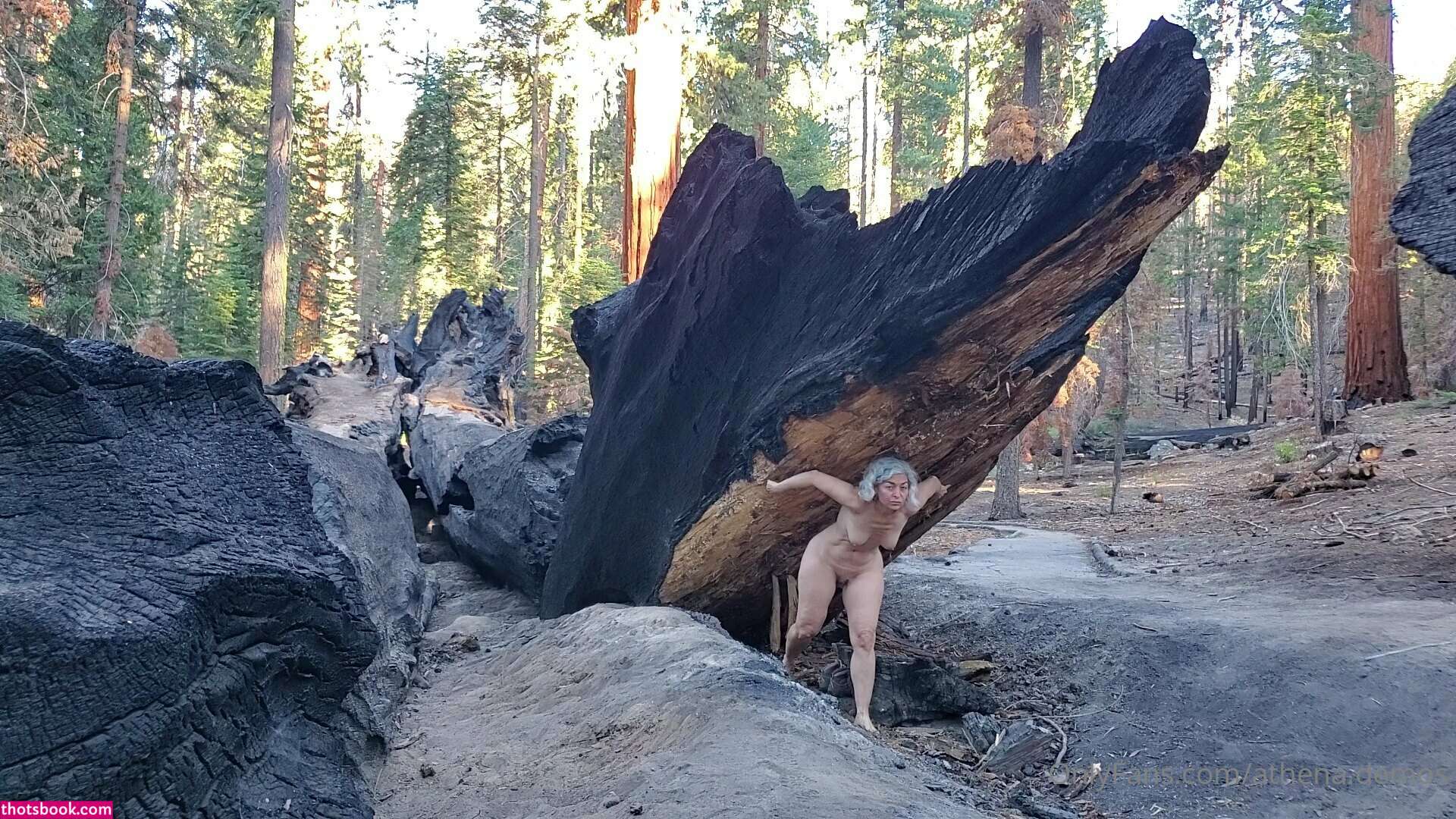 Athena Demos Photo #301