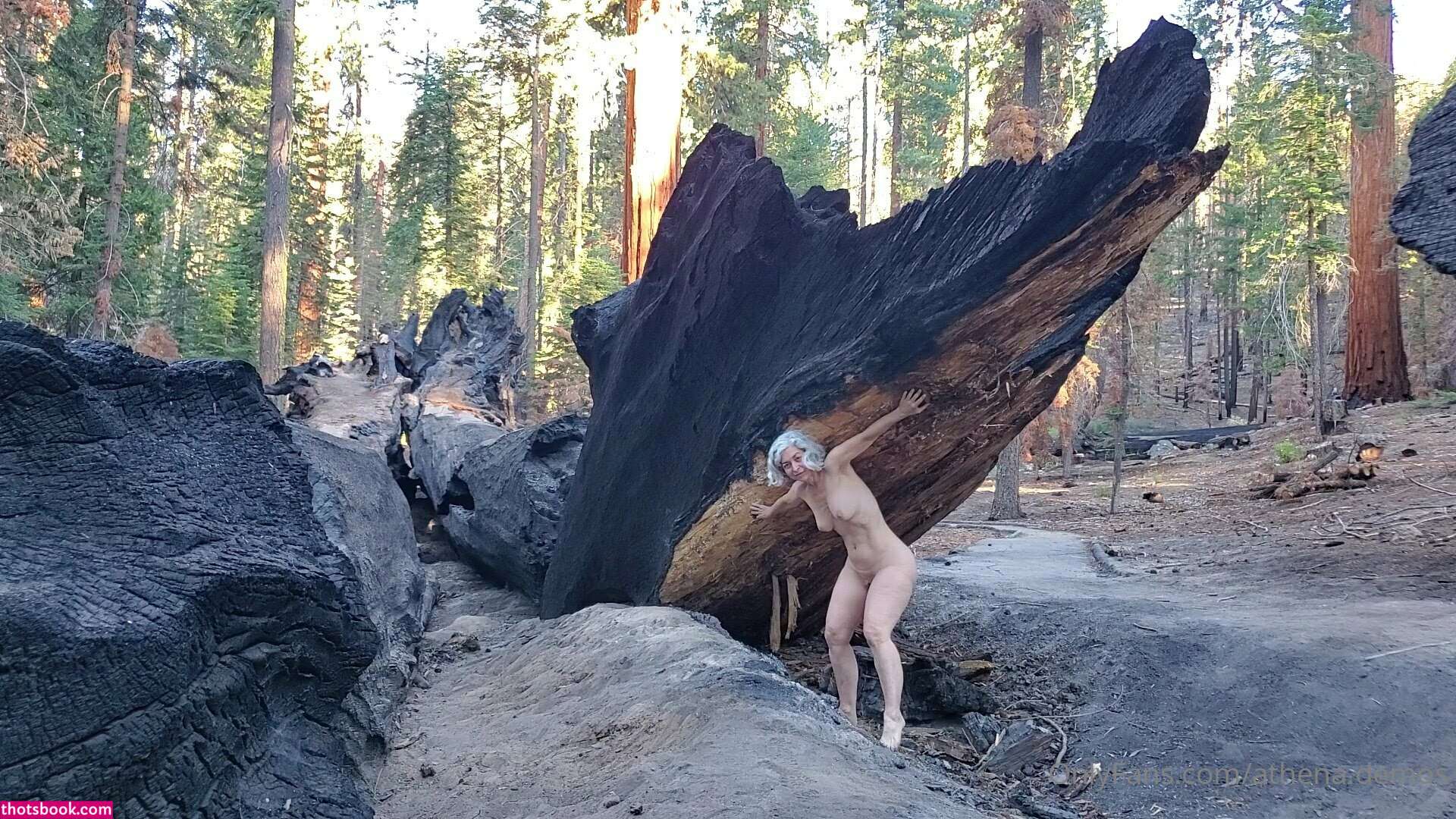 Athena Demos Photo #308