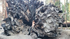 Athena Demos Photo #299