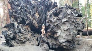 Athena Demos Photo #300