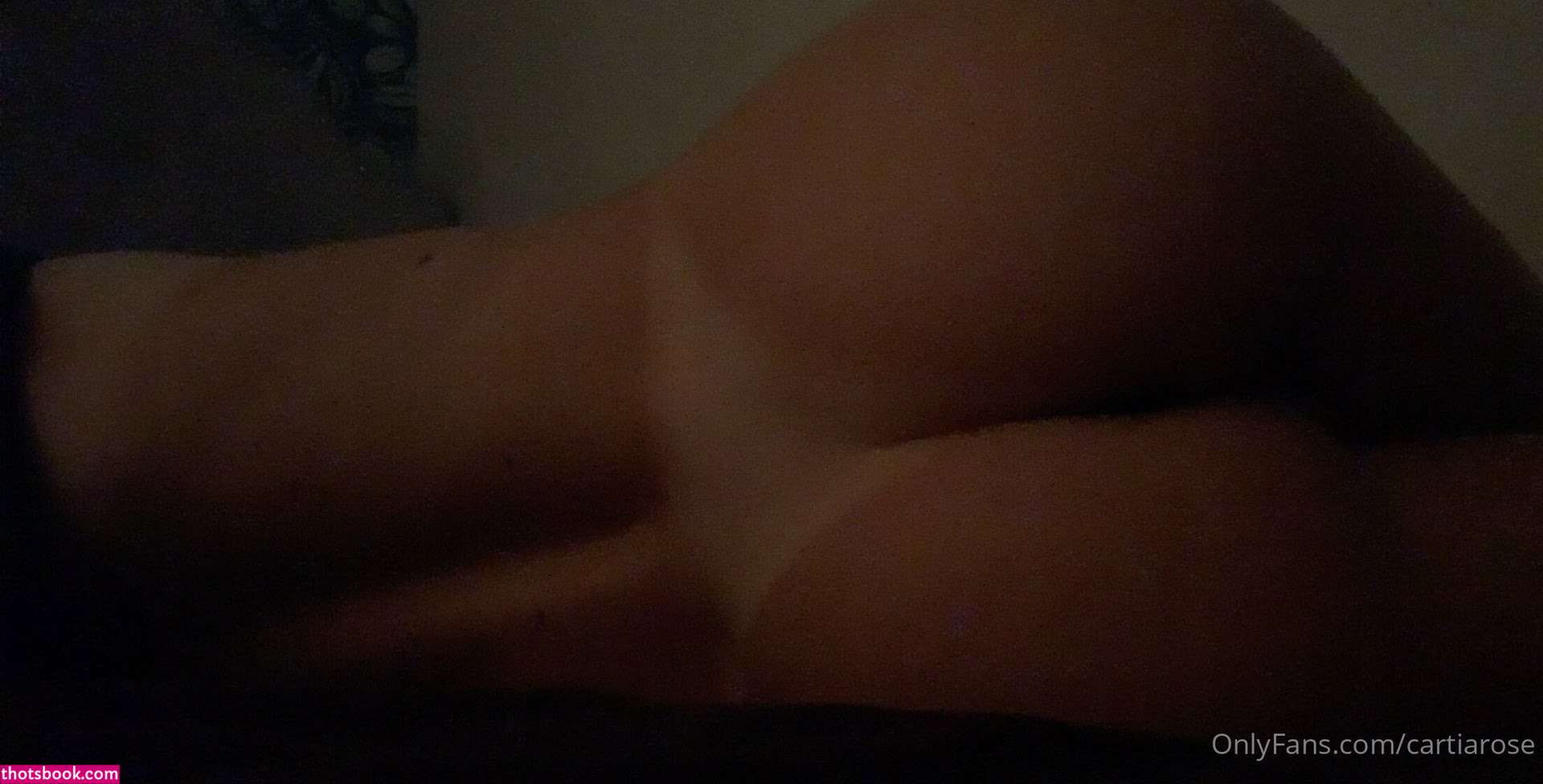 Cartia Rose Photo #95