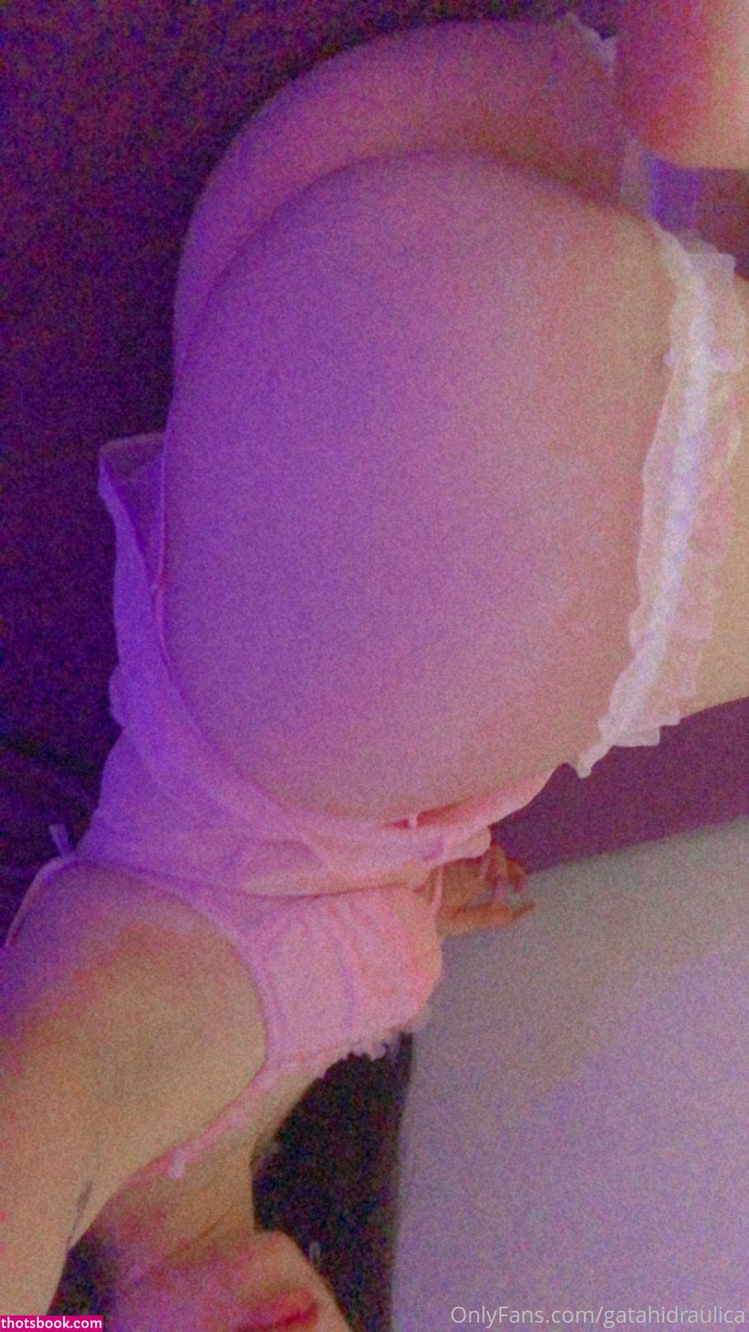 Gatahidraulica Photo #5