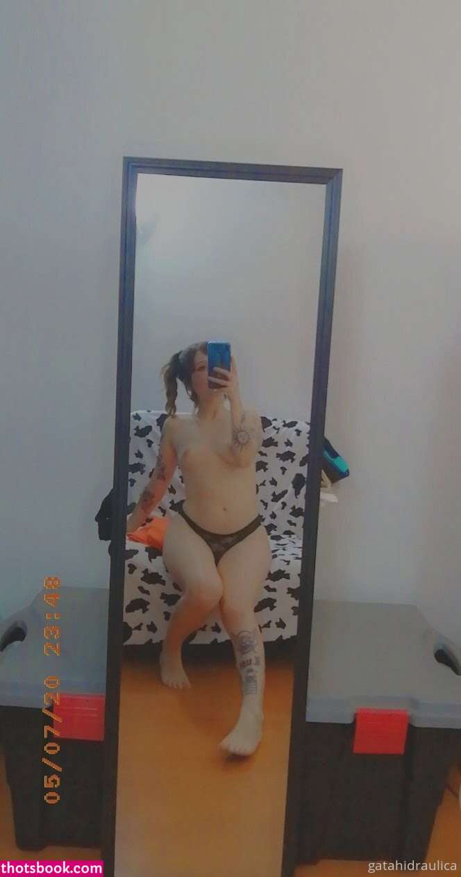 Gatahidraulica Photo #11