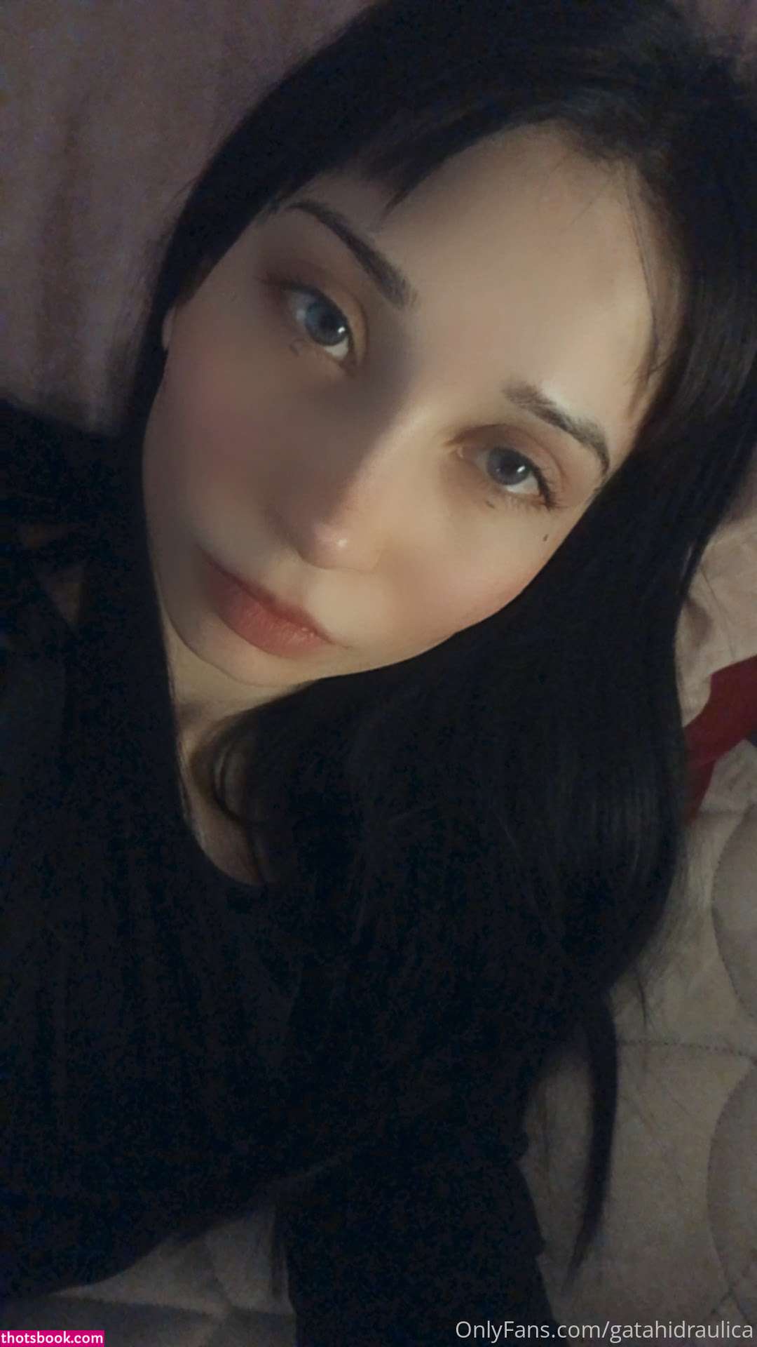 Gatahidraulica Photo #131