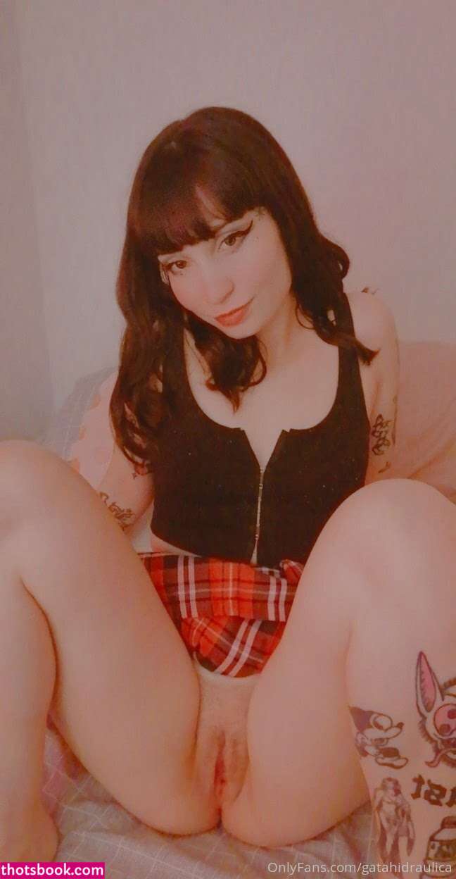 Gatahidraulica Photo #157