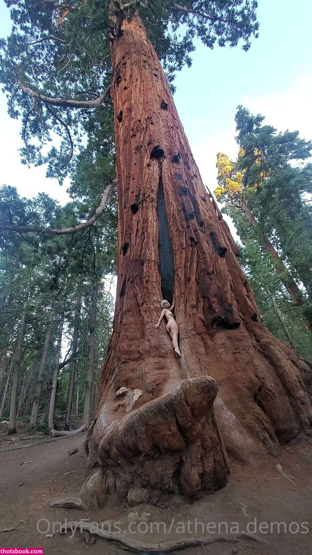 Athena Demos Photo #350