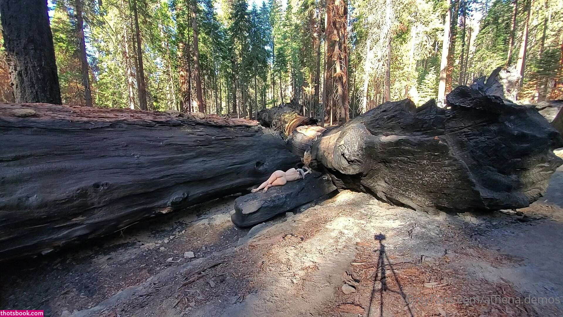 Athena Demos Photo #357