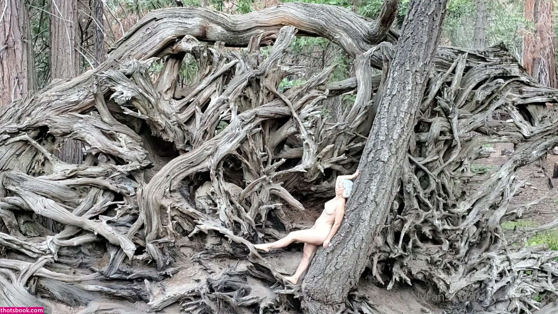 Athena Demos Photo #361