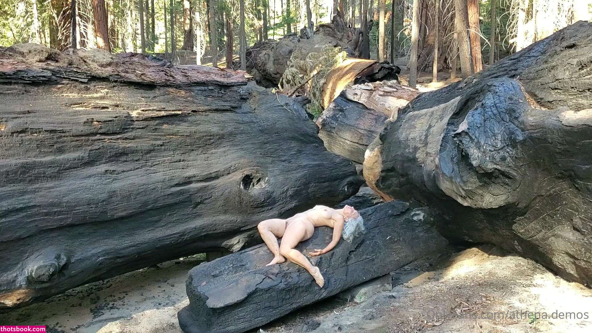 Athena Demos Photo #363