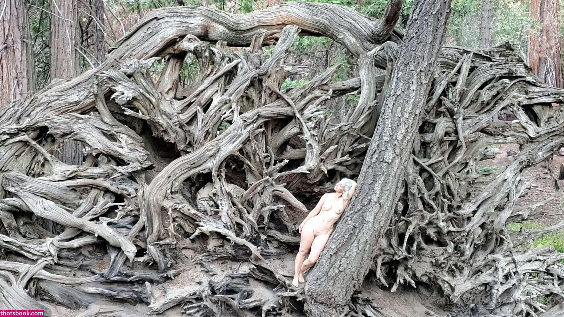 Athena Demos Photo #372