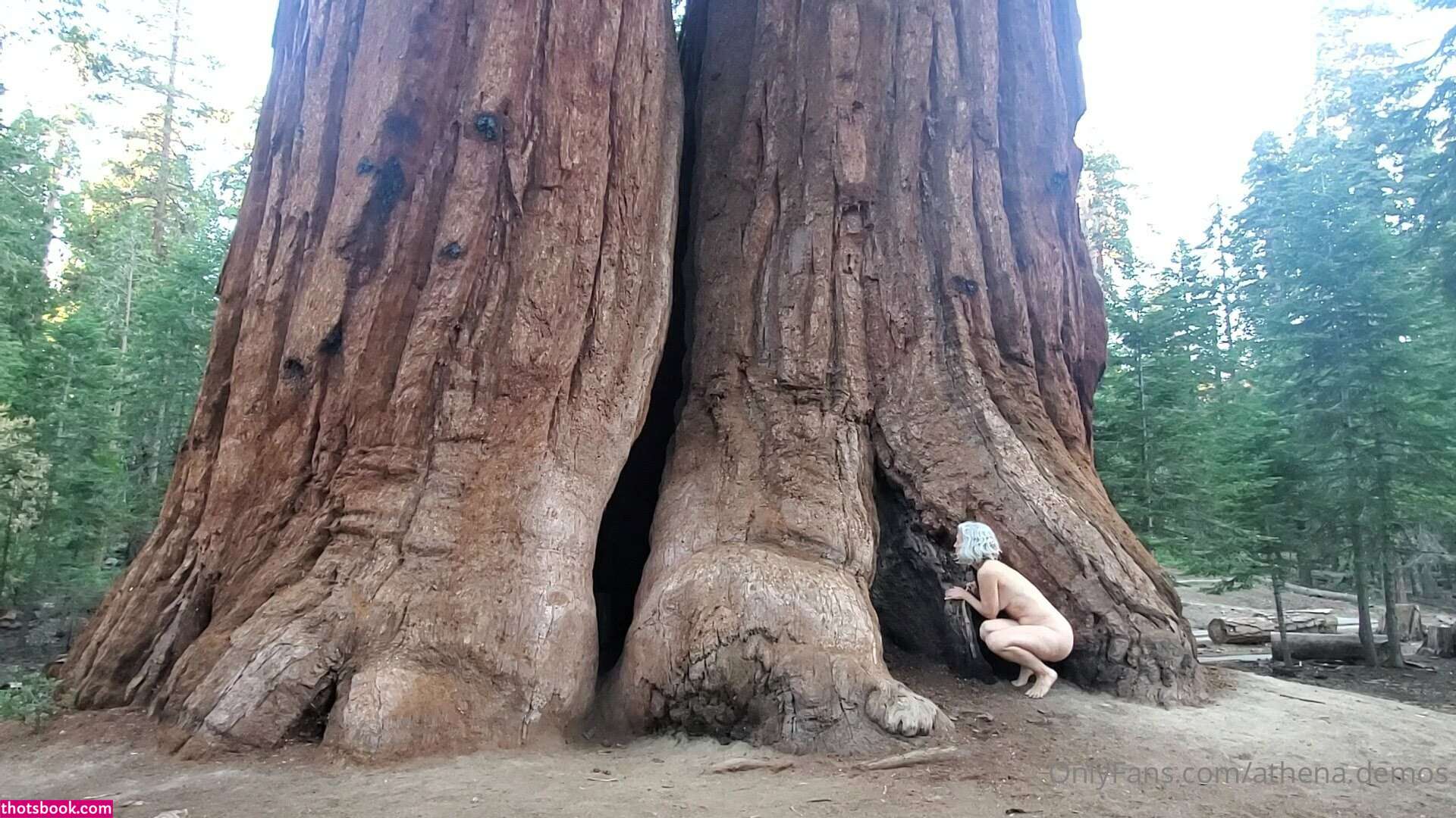 Athena Demos Photo #382