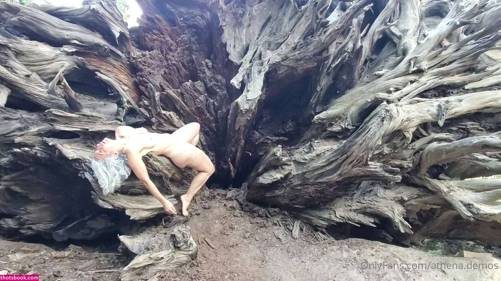 Athena Demos Photo #393