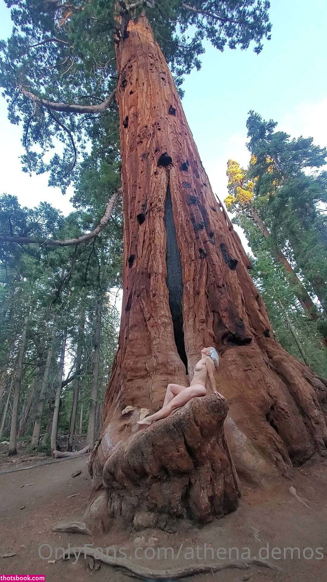 Athena Demos Photo #405