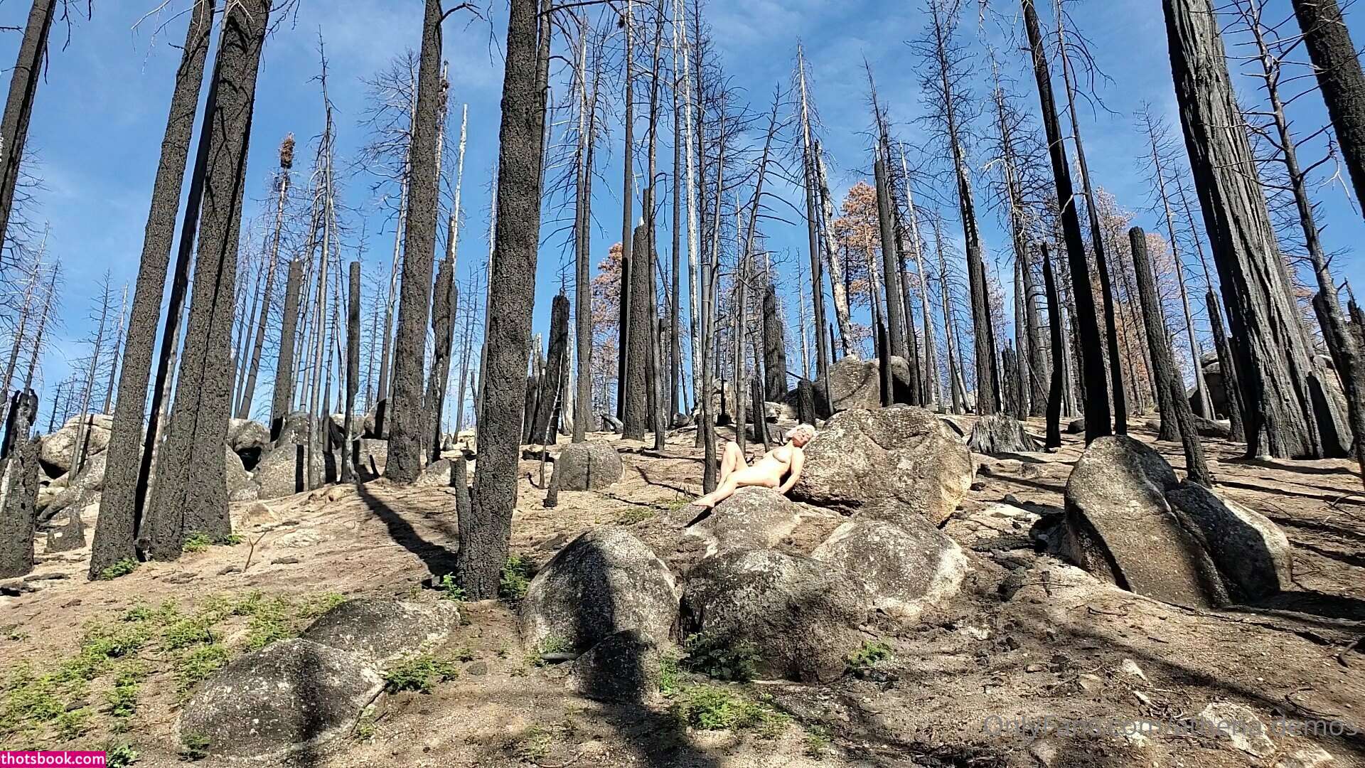 Athena Demos Photo #406