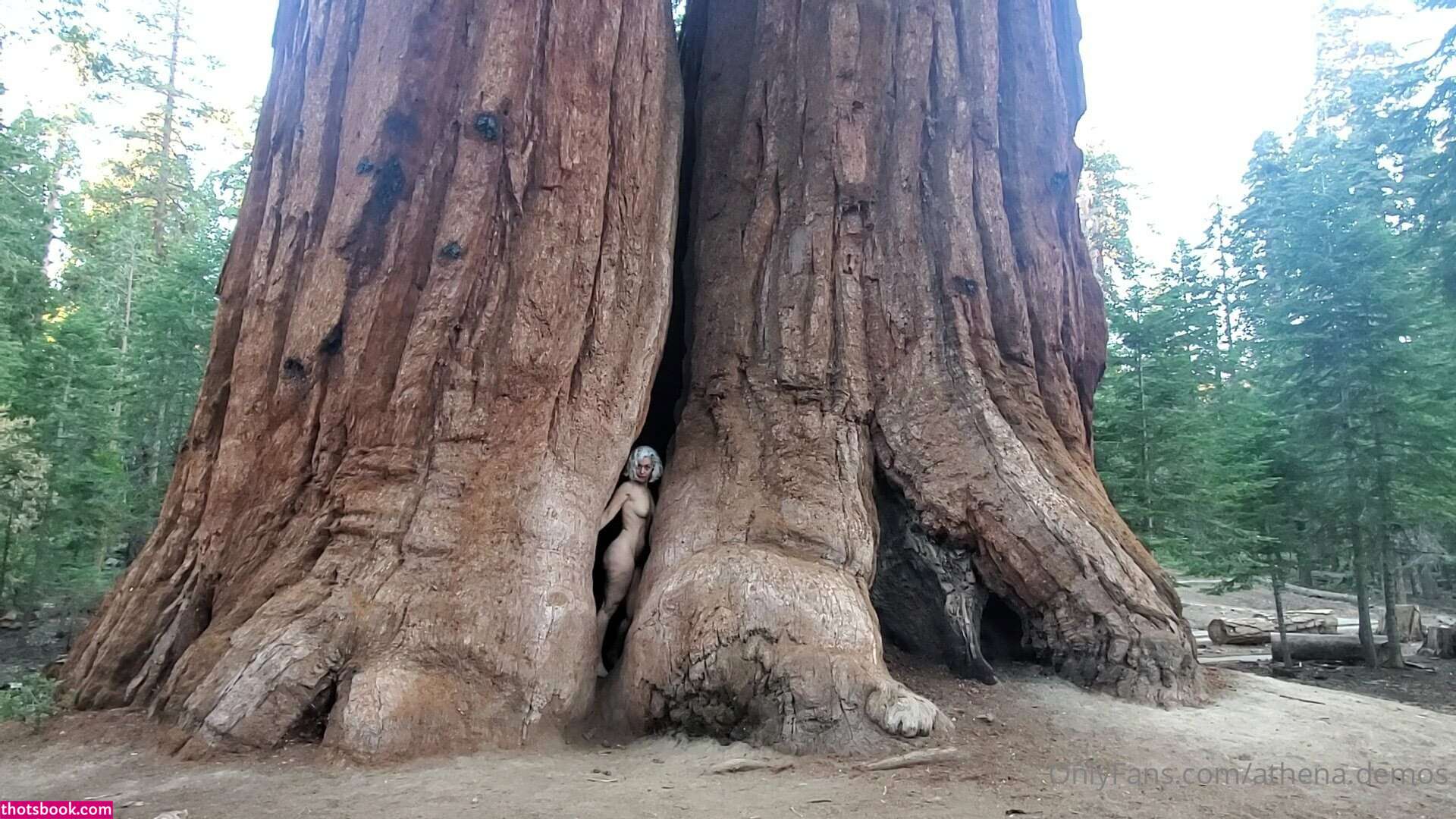 Athena Demos Photo #408