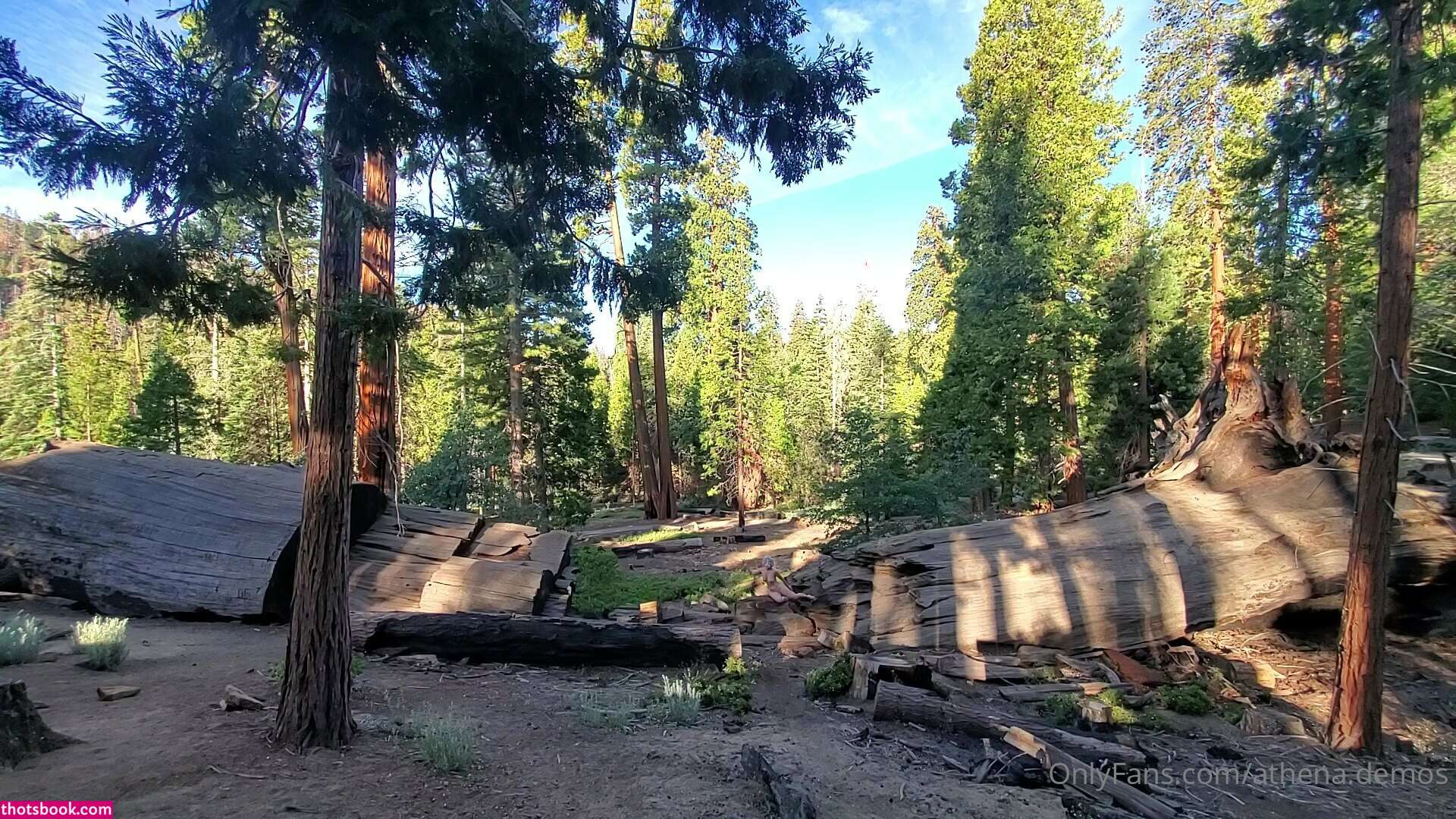 Athena Demos Photo #412