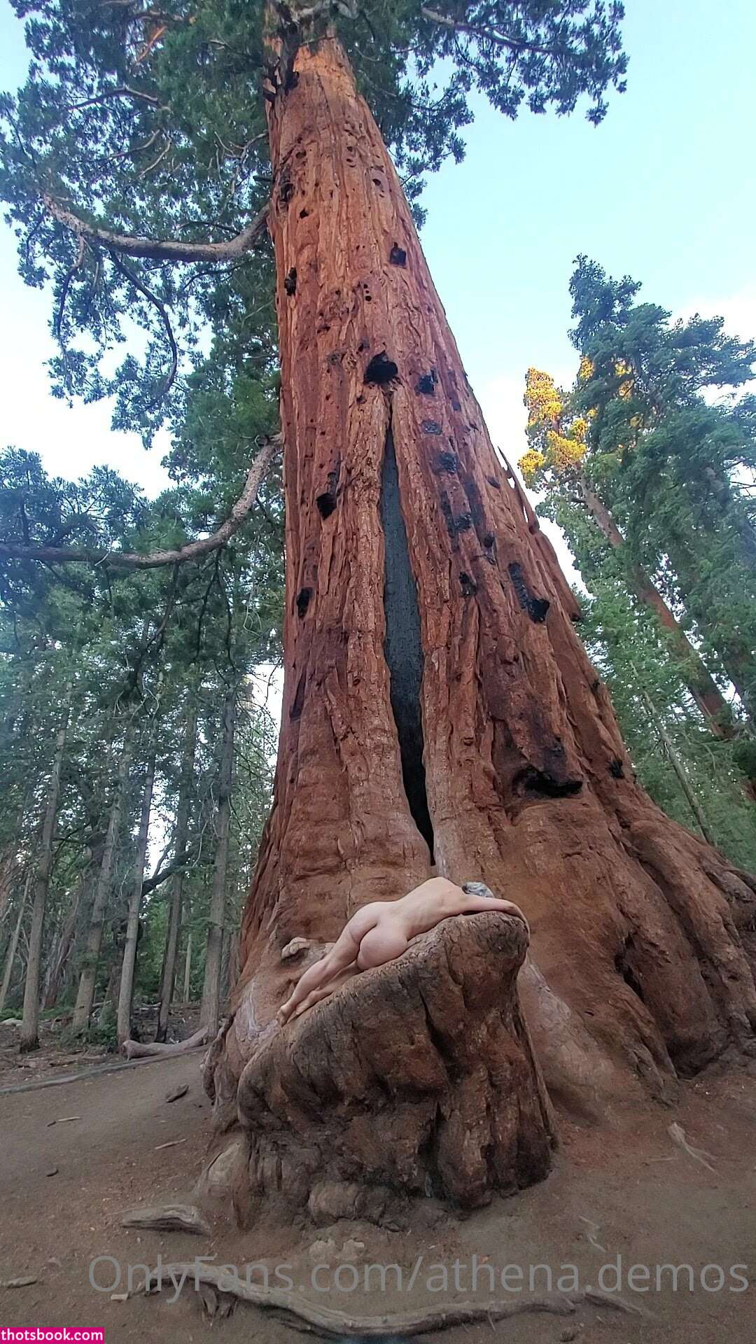 Athena Demos Photo #417