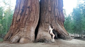 Athena Demos Photo #338