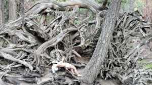 Athena Demos Photo #340