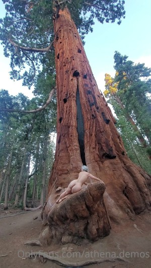 Athena Demos Photo #360