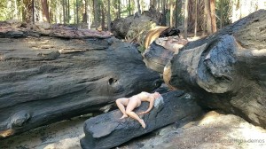 Athena Demos Photo #363