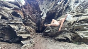 Athena Demos Photo #369