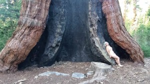 Athena Demos Photo #377