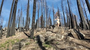 Athena Demos Photo #379