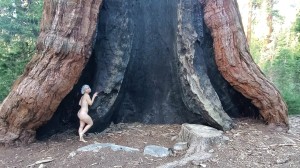 Athena Demos Photo #401