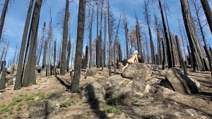 Athena Demos Photo #407